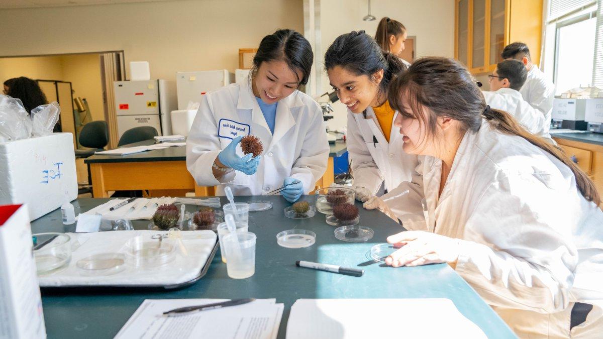 Students in a lab gathering around their experiments